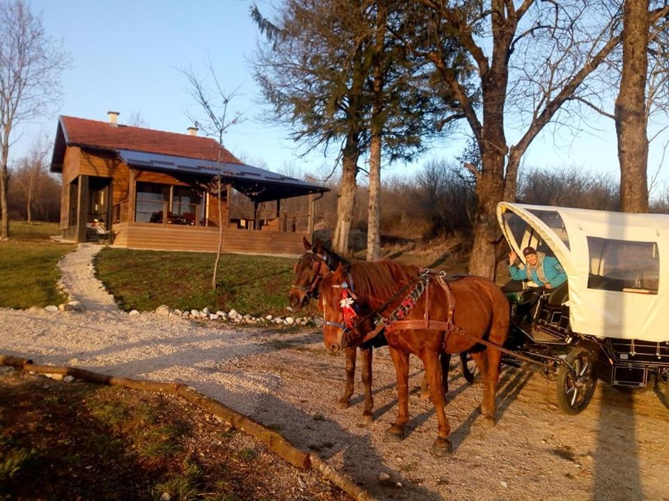 Evergreen House Plitvice Rakovica Zewnętrze zdjęcie